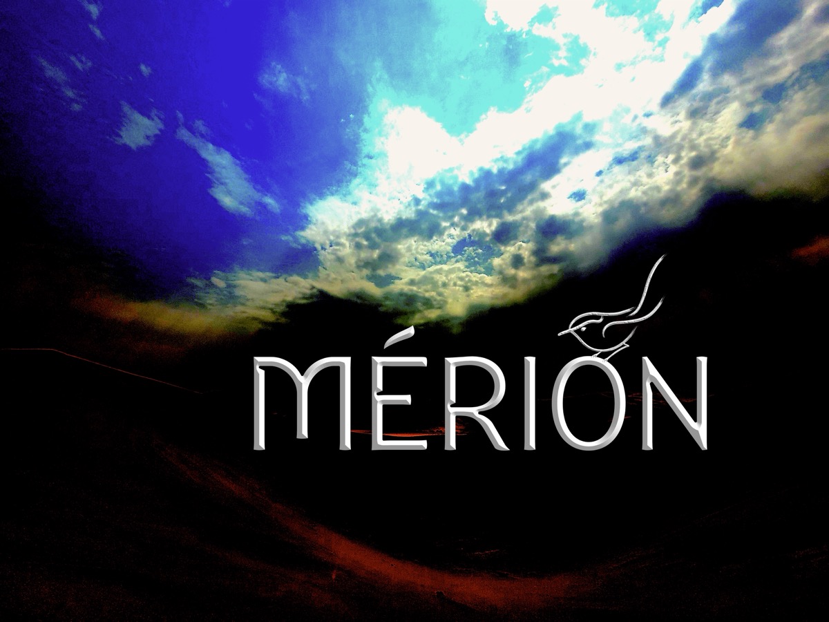 Mérion à deux